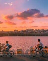 大象儿童版视频-大象儿童版视频，寓教于乐的奇妙旅程