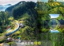 麻豆传媒是-麻豆传媒现象，网络内容生态下的真实与审视