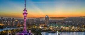 糖心app免费版下载-数字时代的便捷新体验，糖心app免费版探索