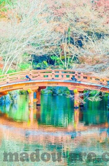 糖心app苹果版-探寻糖心在苹果世界的甜蜜印记——深度体验与用户心声