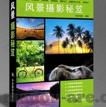 糖心官方入口-诱人美味，探索糖心的独特魅力与官方入口