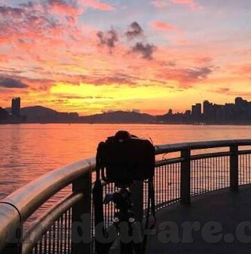 糖心vlog旧版入口在哪-寻找糖心Vlog旧版入口的奇妙之旅